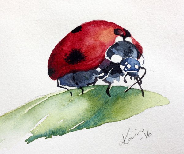 Этюды насекомых акварелью