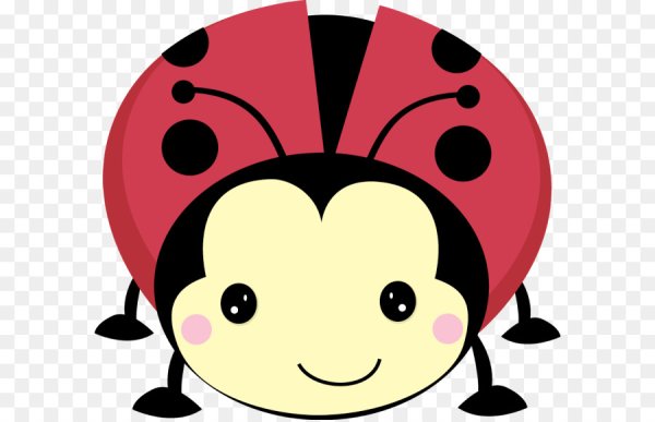 Божья коровка мордашка