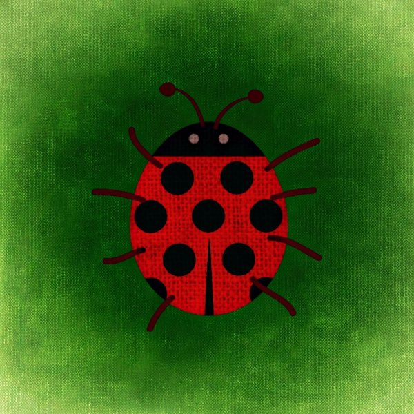 Смешная Божья коровка картинки
