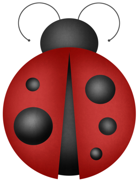 Божья коровка картинка