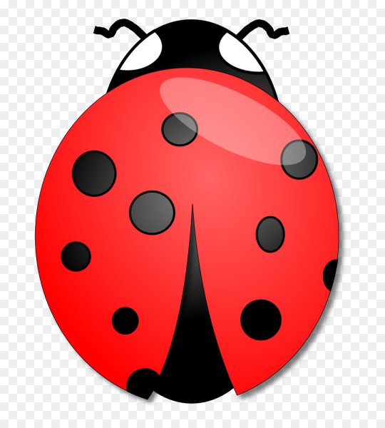 Божья коровка Божья коровка Божья коровка Божья коровка