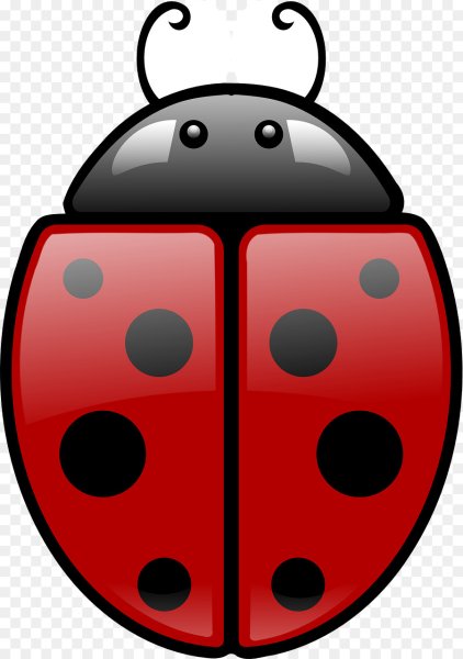 Изображение Божьей коровки