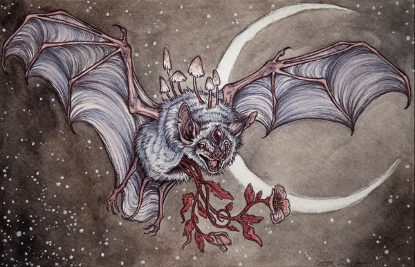 Caitlin Hackett летучая мышь