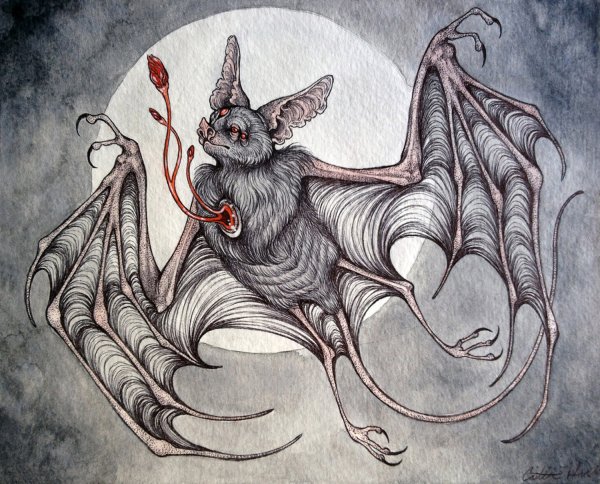 Caitlin Hackett летучая мышь