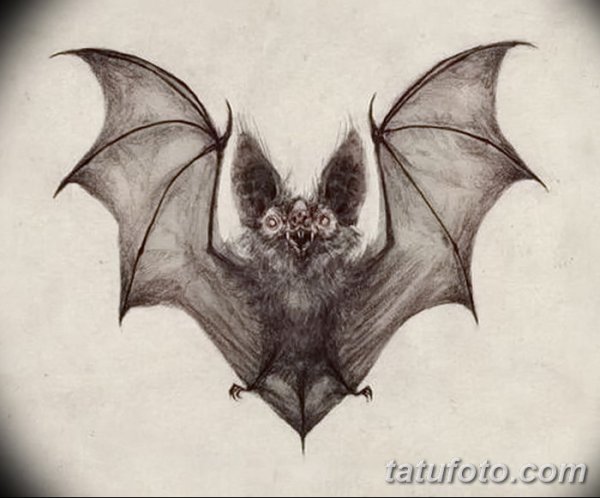 Летучая мышь скетч