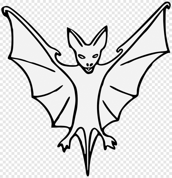 Летучая мышь рисунок