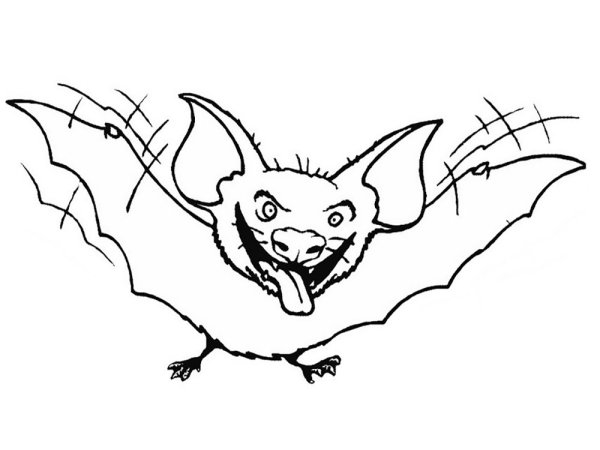 Летучая мышь