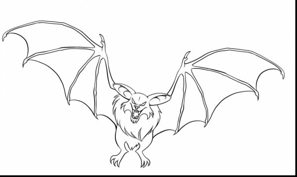 Летучая мышь для рисования