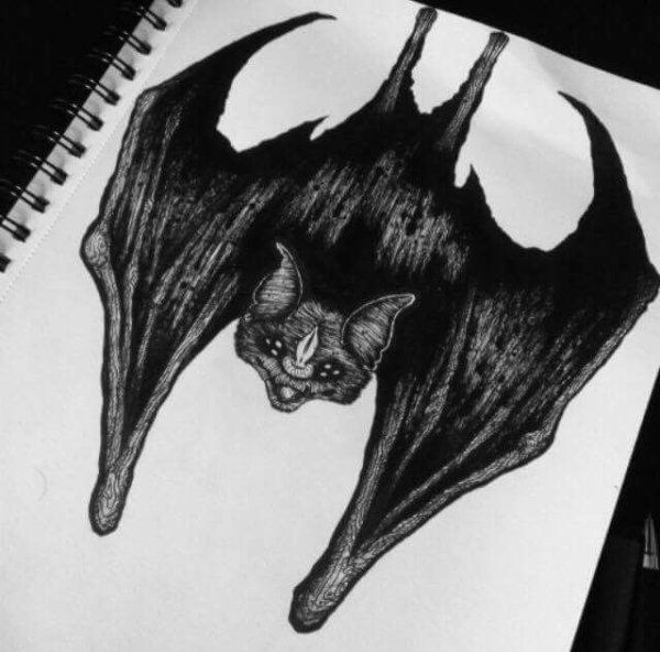 Тату летучая мышь