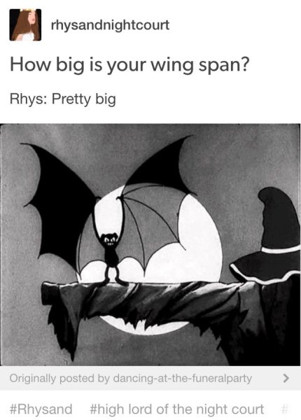 Летучая мышь арт черно белые