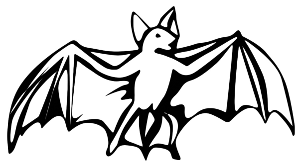 Раскраска Летучучая мышь