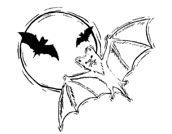 Раскраска летучая мышь на Хэллоуин