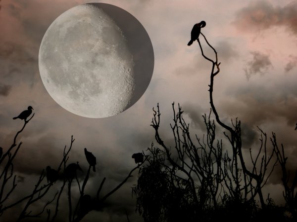 Ужасная Луна