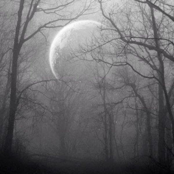 Дом с привидениями Хэллоуин