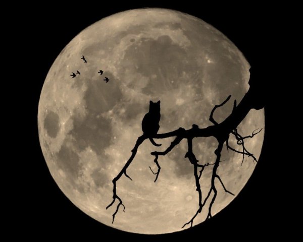 Страшная улыбка на черном фоне