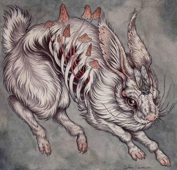 Мифические существа кролики