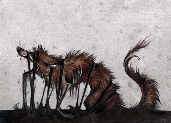 Culpeo Fox страшные лисы