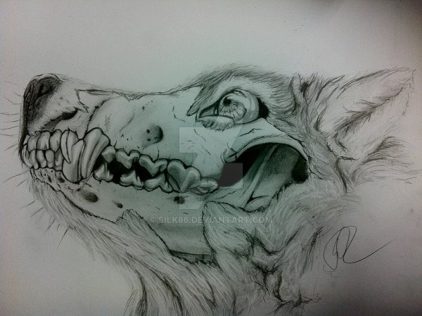 Brian Serway эскизы