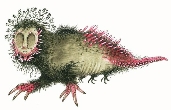 Страшная лиса