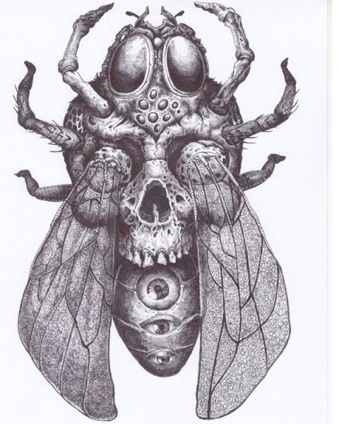 Тату насекомые эскизы