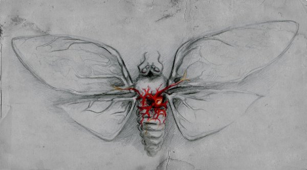 Люди мотыльки и бабочки