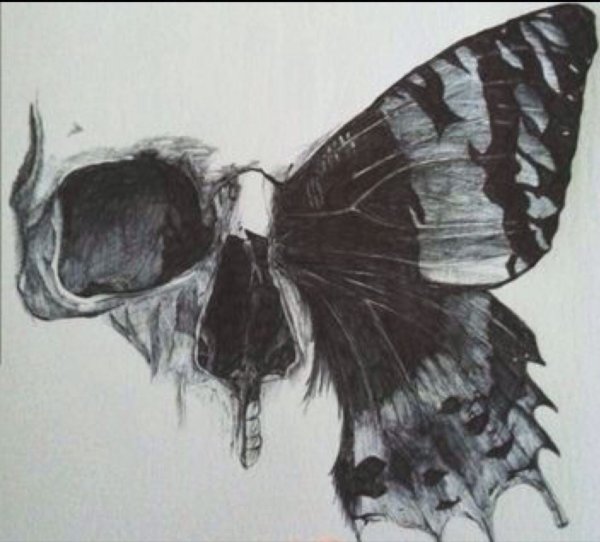 Эскиз бабочка с черепом