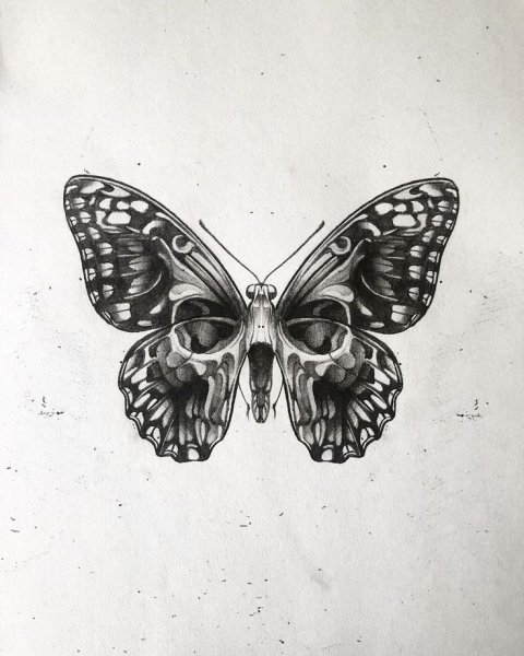 Татуировка бабочка эскиз