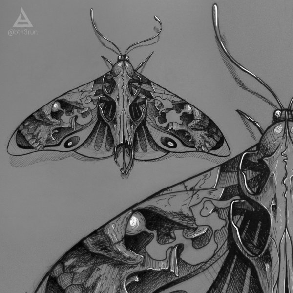 Мотылек Графика