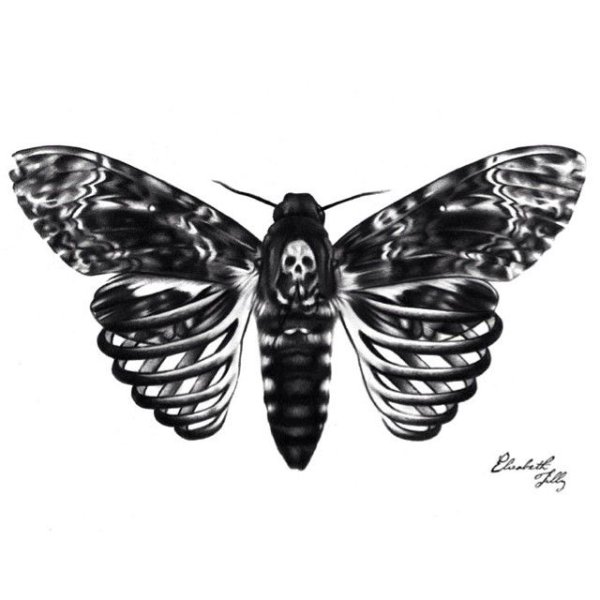 Бражник мертвая голова арт