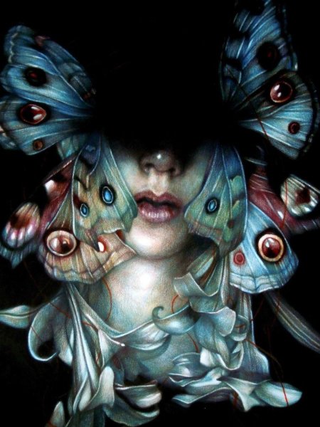 Marco Mazzoni бабочки