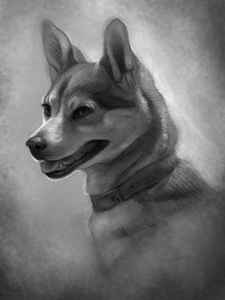 Собачий оскал