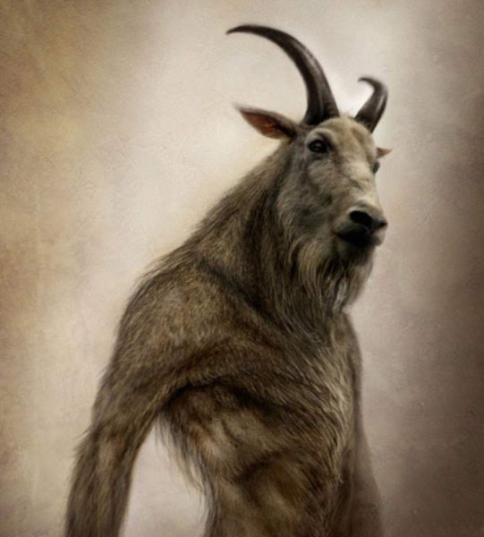 Бафомет коза сатанинского