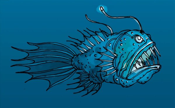 Рыба удильщик