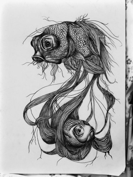 Наброски рыбок