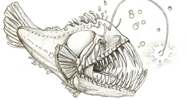 Скелет рыбы удильщика
