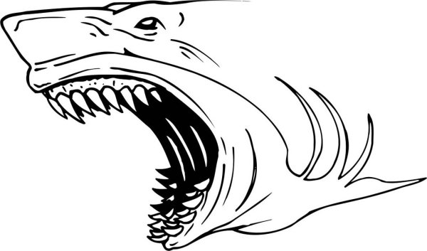 МЕГАЛОДОН раскраска для детей