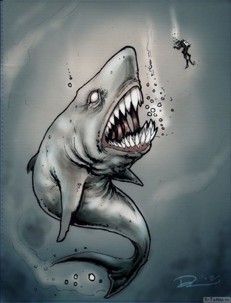 Нарисовать акулу