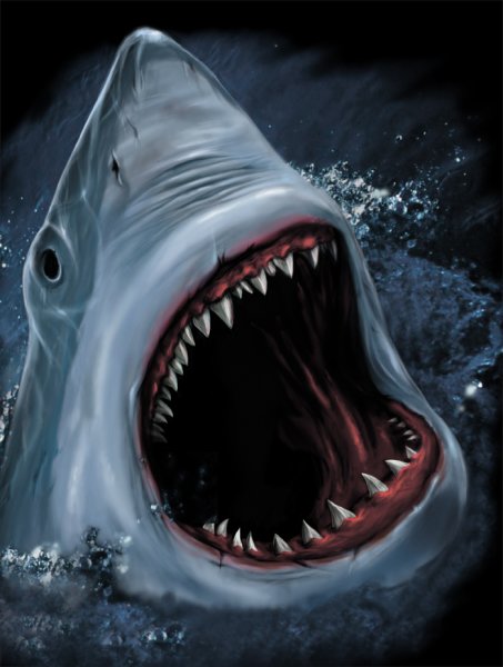 Кархародон Кархариас