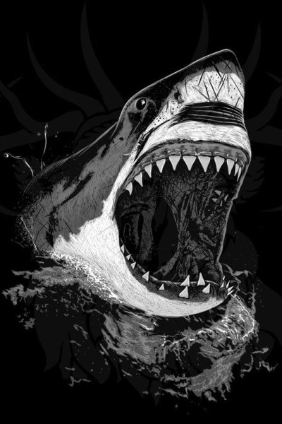 Наклейки "акулы"