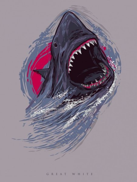 Тату акула эскиз