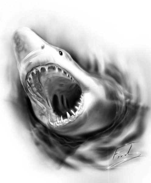 Челюсть акулы вектор