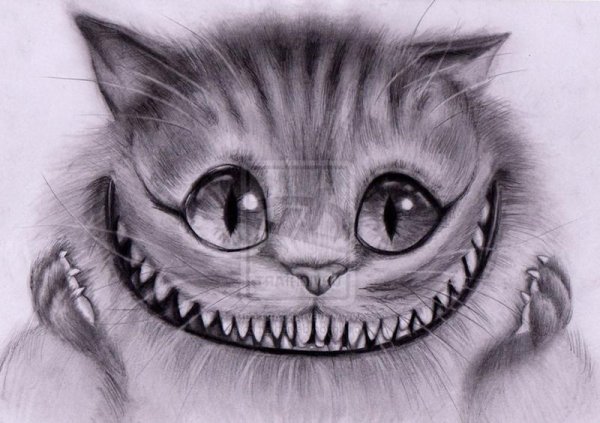 Чеширский кот рисунок карандашом