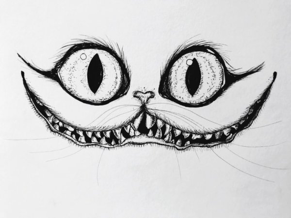 Улыбка Чеширского кота