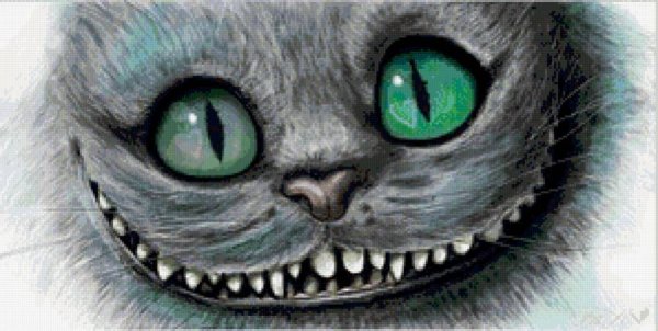 Страшный кот в темноте