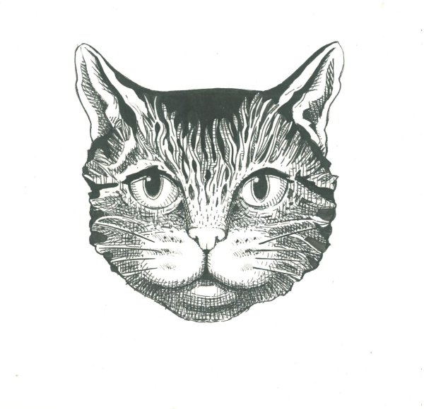 Зловещий кот