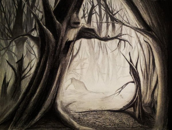 Страшный лес иллюстрация