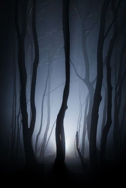 Страшный ночной лес