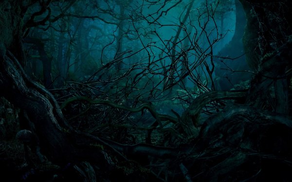 Мрачный лес