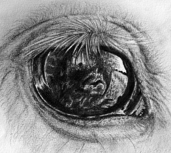 Нарисовать страшные глаза