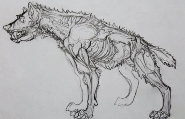 Рисунки монстров карандашом